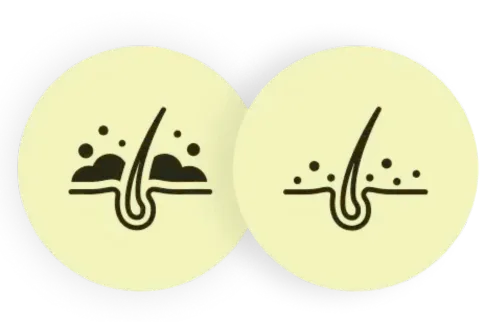 Curry Leaf and Fenugreek boost scalp health and hair density. Golden Shower promotes thickness by reinforcing follicular strength.