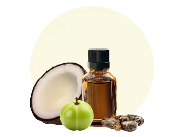 Coconut Oil softens hair, Tea Tree purifies scalp, Herbal fragrance refreshes. Shampoo base protects essential moisture.