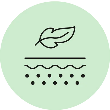Aloe Vera Soap improves skin texture, leaving it smooth, soft, and naturally radiant.