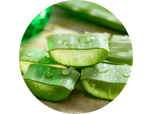 Aloe Vera Pulp – Packed with natural goodness, it soothes sensitive skin, deeply hydrates, and promotes healthy, radiant, and irritation-free skin.