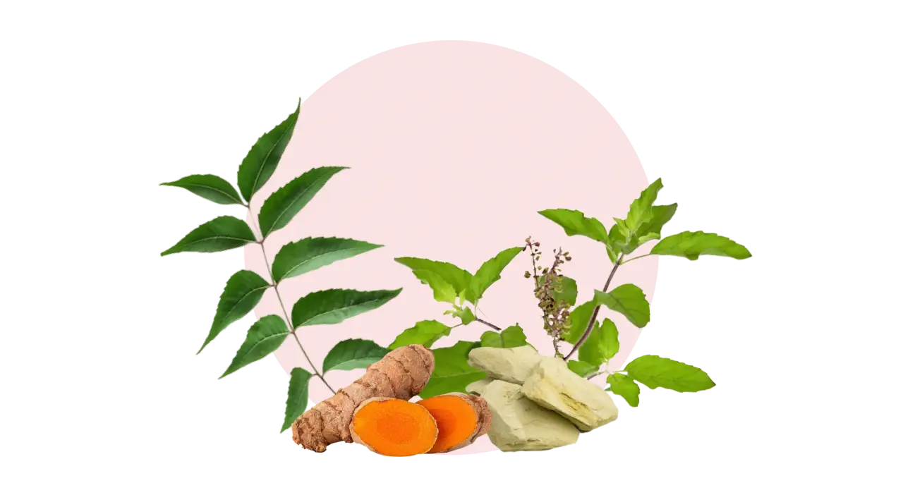 Neem, Tulsi, Kasthoori Manjal, and Multani Mitti – cleanse, purify, brighten, and control oil