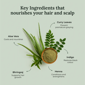Natural ingredients used in Krti Herbals Anti Grey Hair Oil such as Henna, Indigo, Bhringraj, Aloe Vera, Curry Leaves, Fenugreek, and Neem