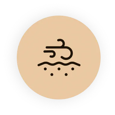 Red Sandalwood calms inflammation and relieves redness and skin stress.