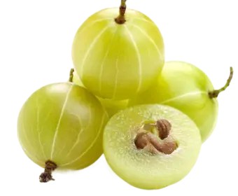 Gooseberry (Amla) used in Krti Herbals Anti Grey Hair Mask, known for reducing hair fall