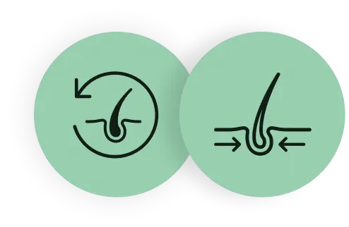 Grey reversal and root nourishment with Indigo, Henna, and Bhringraj