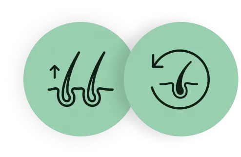 Henna and Indigo boost melanin while Triphala and Golden Shower strengthen roots