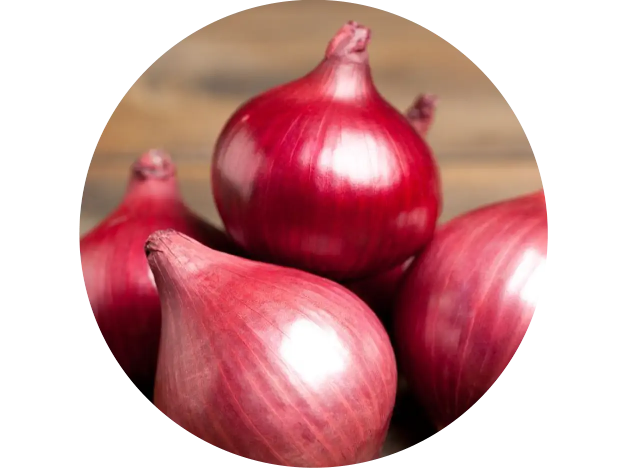Onion to fights dandruff-causing microbes, reduces infections, and supports regrowth by stimulating follicles and balancing scalp health.