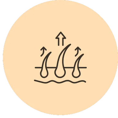 Eyebrow Growth Oil Roll-On Restores weakened brow roots, reducing breakage and improving thickness.