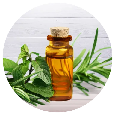  Eyebrow Growth Oil Roll-On Moisturizes intensely, softens dry skin, and restores smoothness with natural protection.