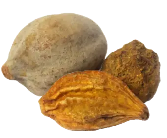 Triphala used in Krti Herbals No Marks Cream, known for detoxifying skin and enhancing natural cell renewal