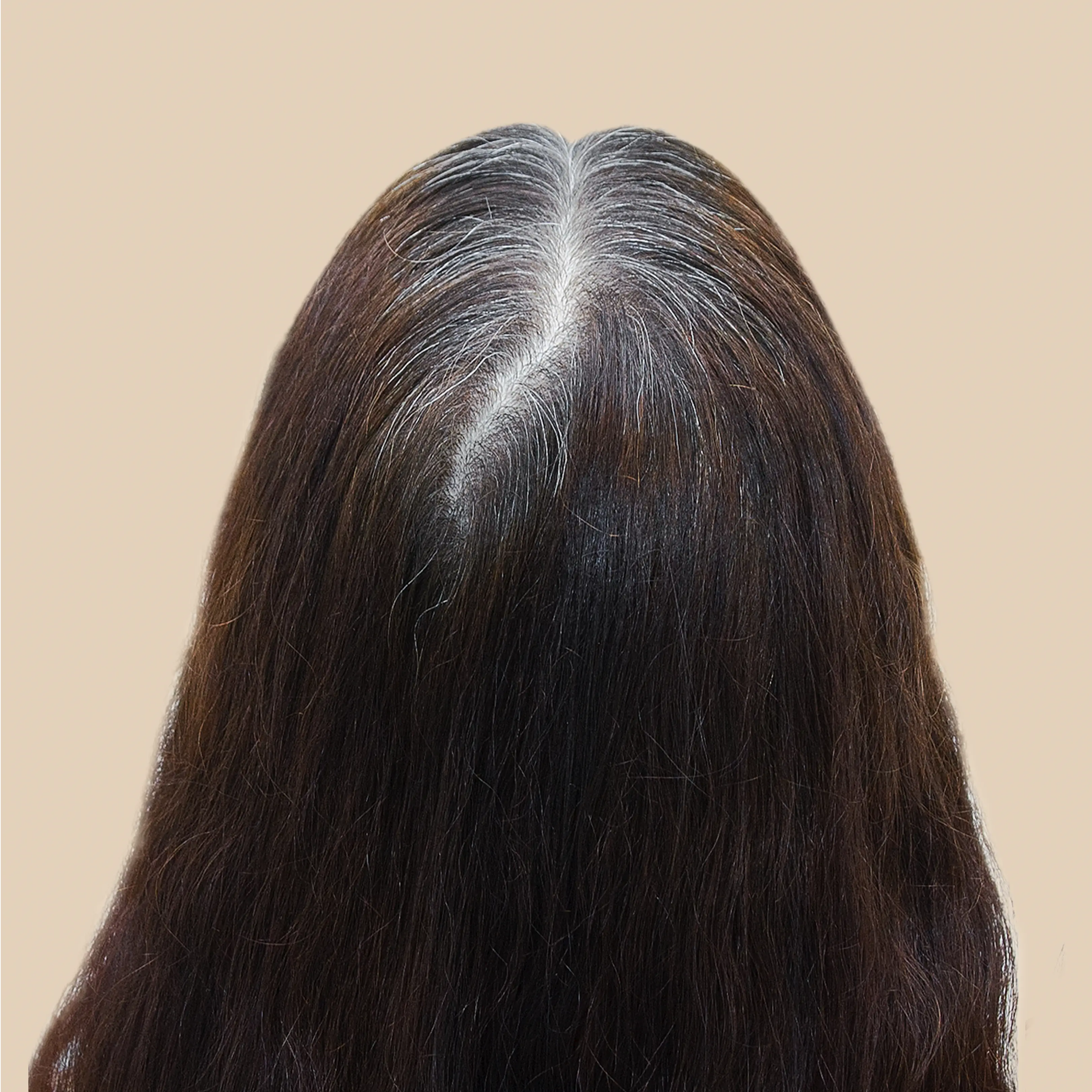 Before using Krti Herbals Anti Grey Hair Oil showing grey hair