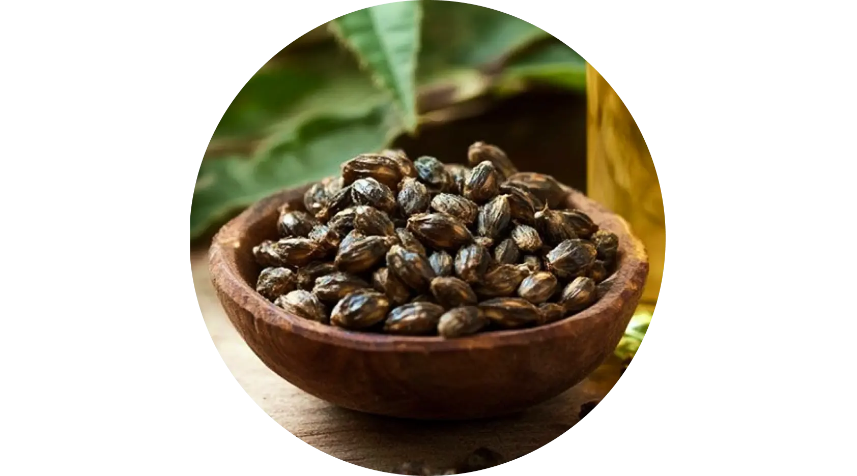 Castor Oil used in Krti Herbals Rosemary Herbal Conditioner, known for moisturizing and enhancing hair texture