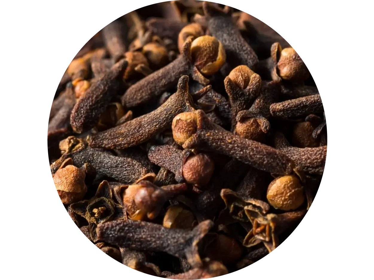 Clove used in Krti Herbals Anti Grey Hair Mask, known for enhancing scalp circulation and revitalizing follicles