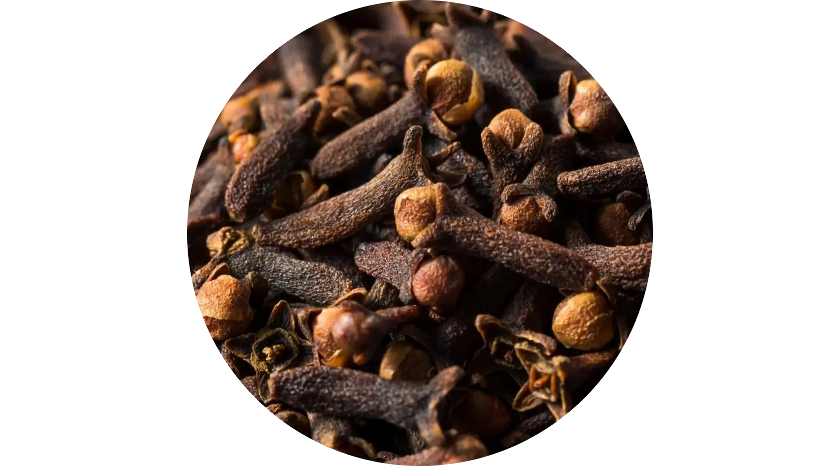 Clove used in Krti Herbals Anti Grey Hair Mask, known for enhancing scalp circulation and revitalizing follicles