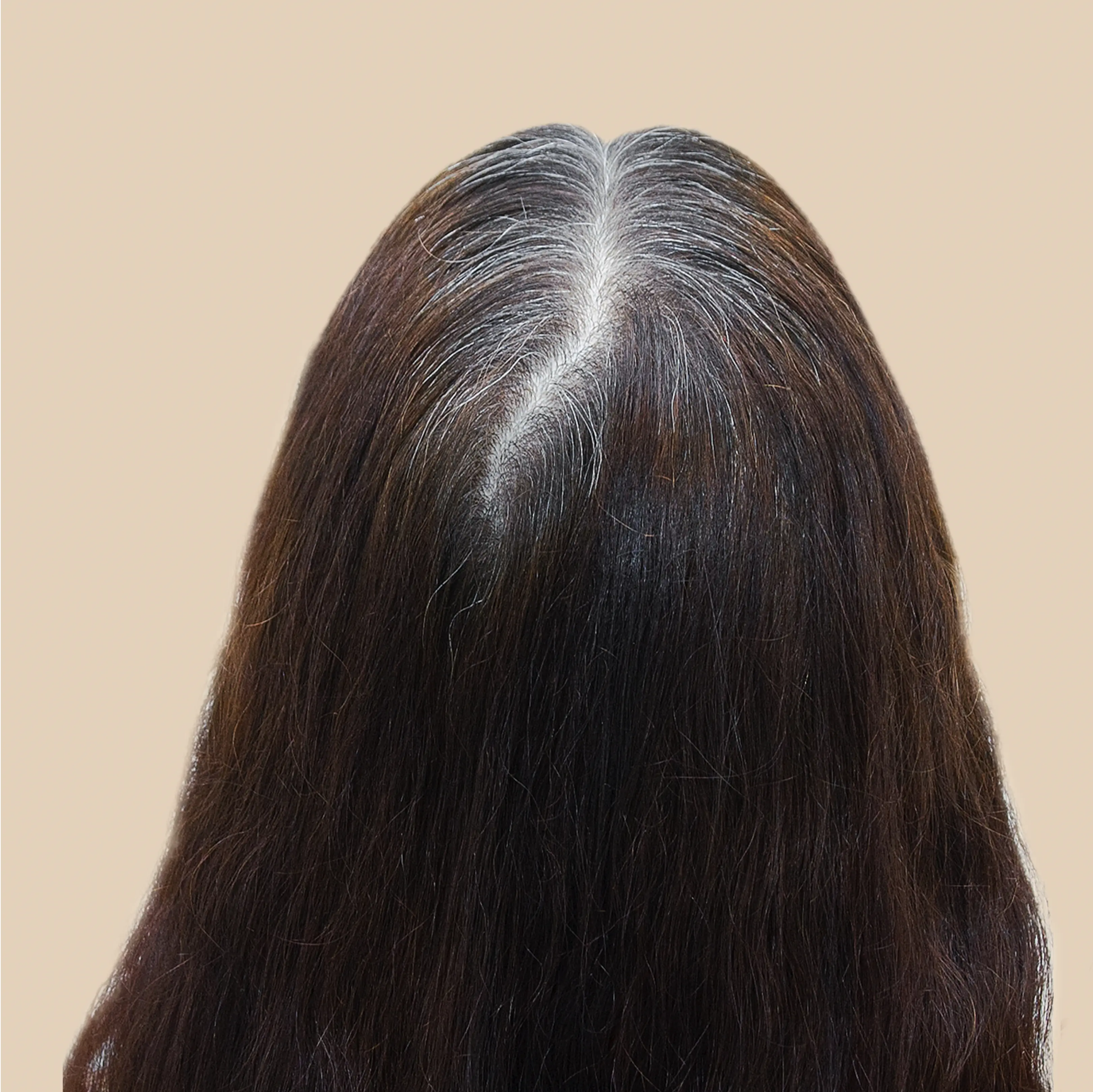 Before using Krti Herbals Anti Grey Hair Oil showing grey hair