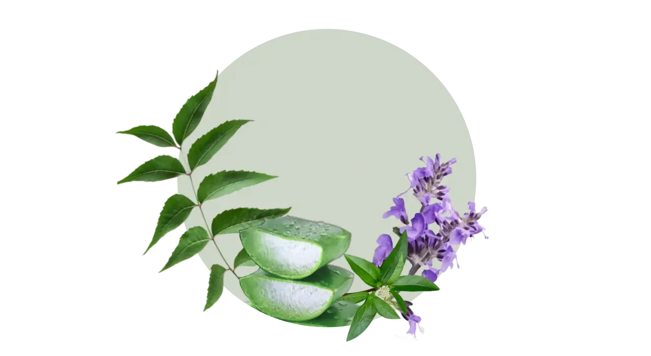 Neem, Aloe Vera, Tea Tree, Patchouli – soothe, purify, and hydrate the scalp