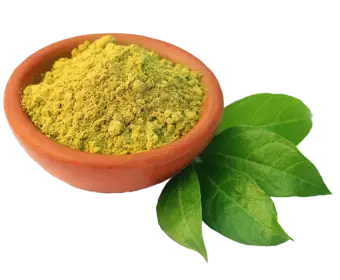 Henna used in Krti Herbals Hair Growth Oil, known for conditioning and enhancing hair texture