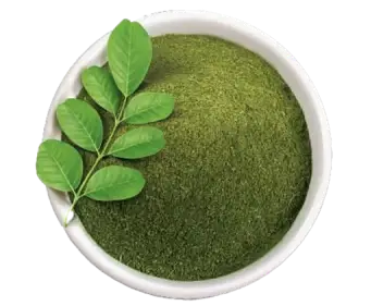 Indigo used in Krti Herbals Anti Grey Hair Mask, known for restoring natural black hair color