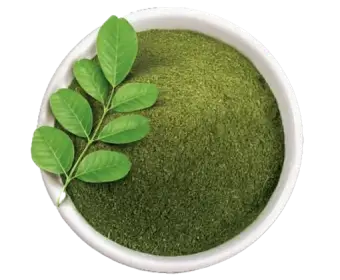 Indigo used in Krti Herbals Hair Growth Oil, known for protecting against greying and improving scalp pigmentation