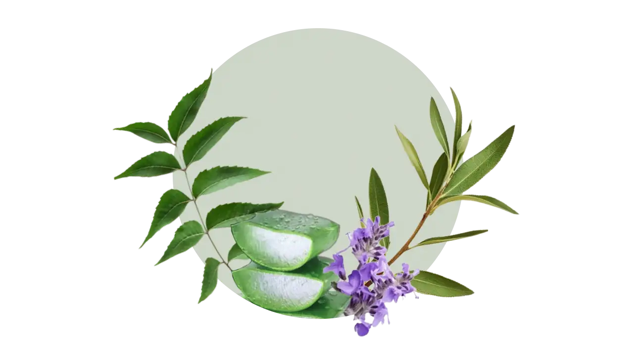 Neem, Aloe Vera, Bhringraj, Patchouli – support regrowth, relieve inflammation, and enhance shine