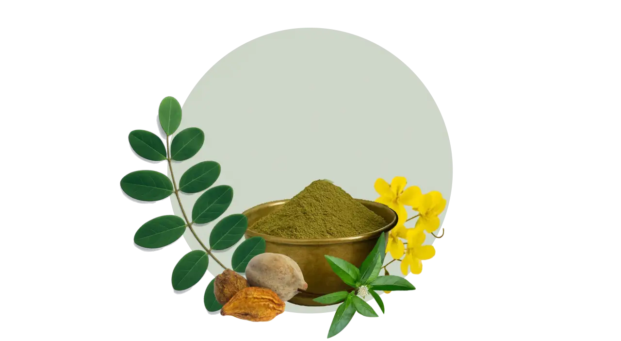 Indigo, Henna, Triphala, and Golden Shower herbs that restore pigment, detox scalp, and reinforce roots