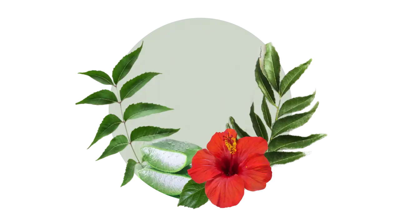 Aloe Vera, Neem, Curry Leaf, and Hibiscus – support hydration, shine, and healthy scalp