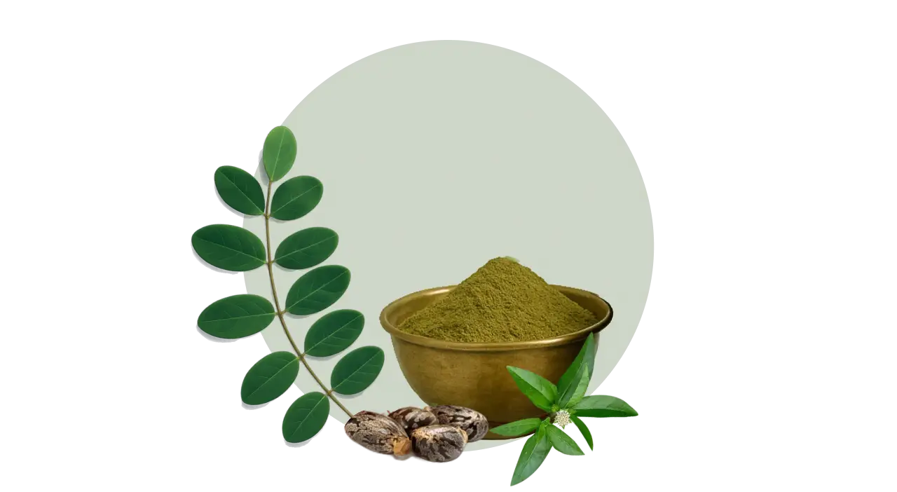 Indigo, Henna, Bhringraj, Castor Oil – herbal blend for reversing greying and promoting root strength