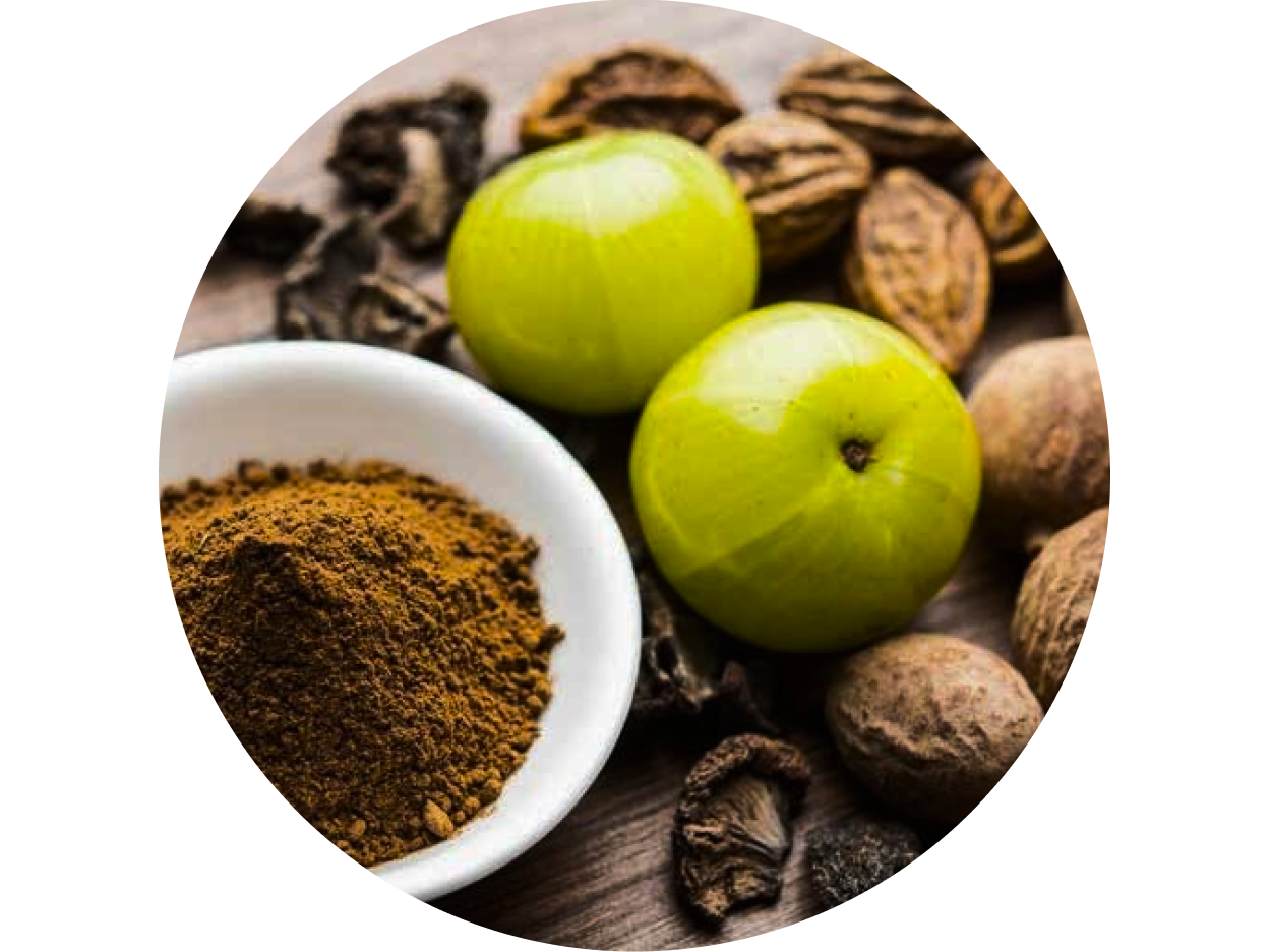 Triphala used in Krti Herbals Triphala Herbal Shampoo, known for detoxifying and nourishing the scalp